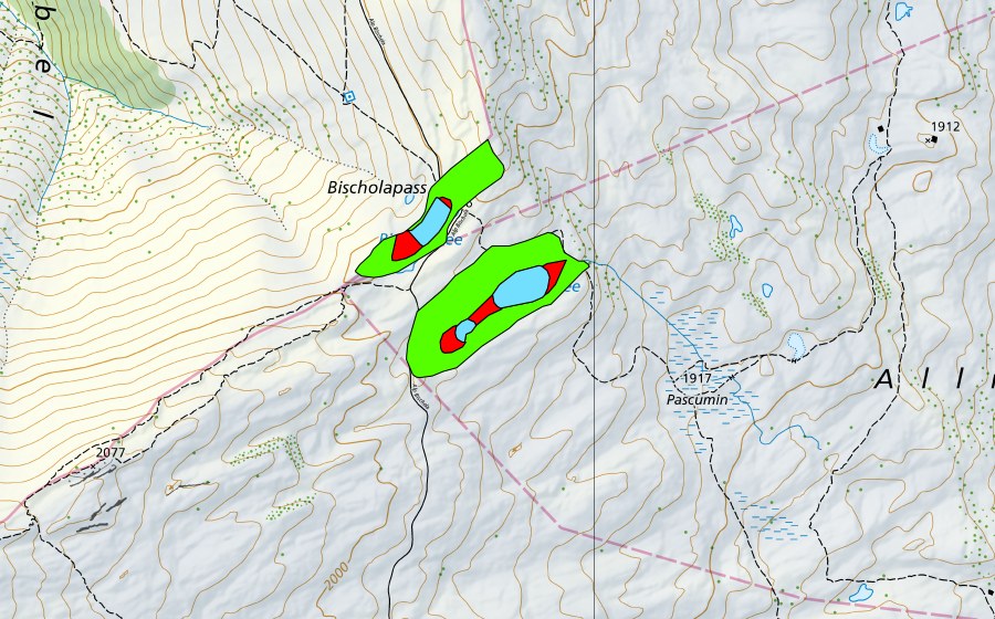 Carte nationale swisstopo avec le périmètre protégé de Pascuminer See/Bischolsee (Haut-marais)