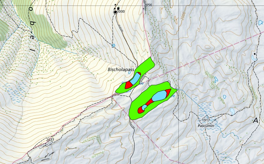 swisstopo national map showing the protected perimeter of Pascuminer See/Bischolsee (Raised bog)