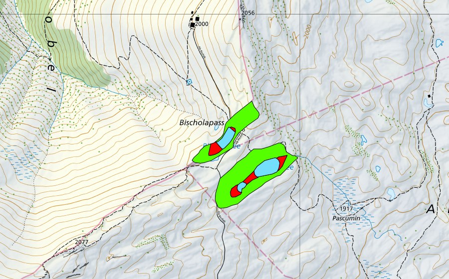 Carte nationale swisstopo avec le périmètre protégé de Pascuminer See/Bischolsee (Haut-marais)