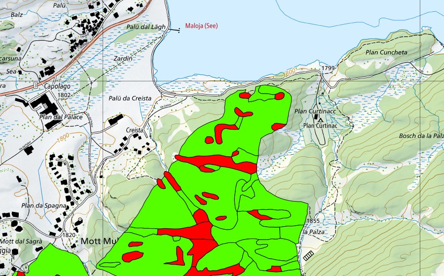 swisstopo national map showing the protected perimeter of Passo del Maloja/Aira da la Palza (Raised bog)