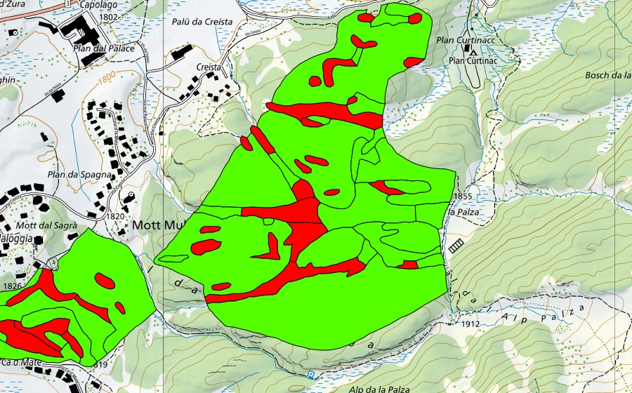Landeskarte swisstopo mit dem Schutzperimeter von Passo del Maloja/Aira da la Palza (Hochmoor)