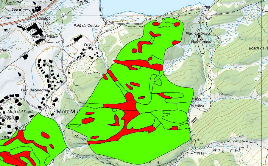 Landeskarte swisstopo mit dem Schutzperimeter von Passo del Maloja/Aira da la Palza (Hochmoor)