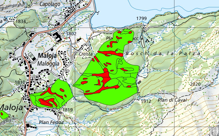 Landeskarte swisstopo mit dem Schutzperimeter von Passo del Maloja/Aira da la Palza (Hochmoor)