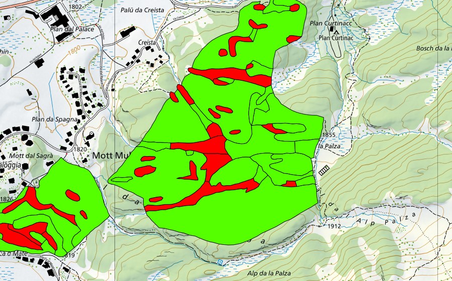 Landeskarte swisstopo mit dem Schutzperimeter von Passo del Maloja/Aira da la Palza (Hochmoor)