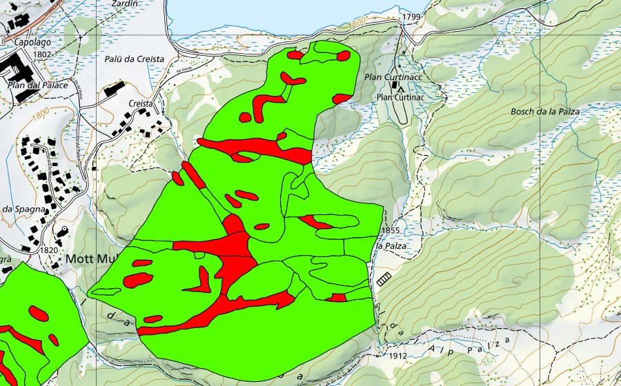 Landeskarte swisstopo mit dem Schutzperimeter von Passo del Maloja/Aira da la Palza (Hochmoor)