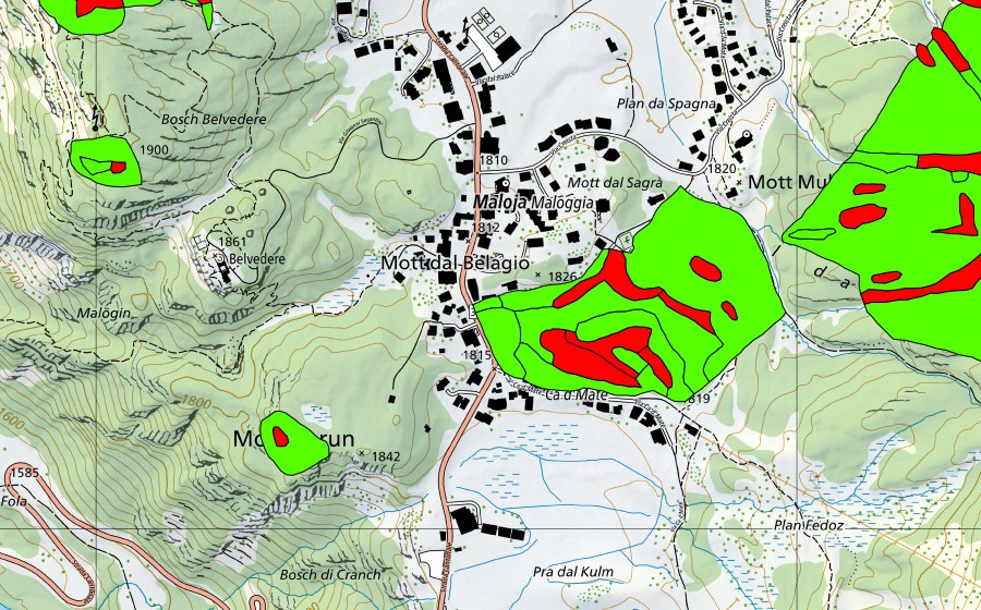 swisstopo national map showing the protected perimeter of Passo del Maloja/Aira da la Palza (Raised bog)
