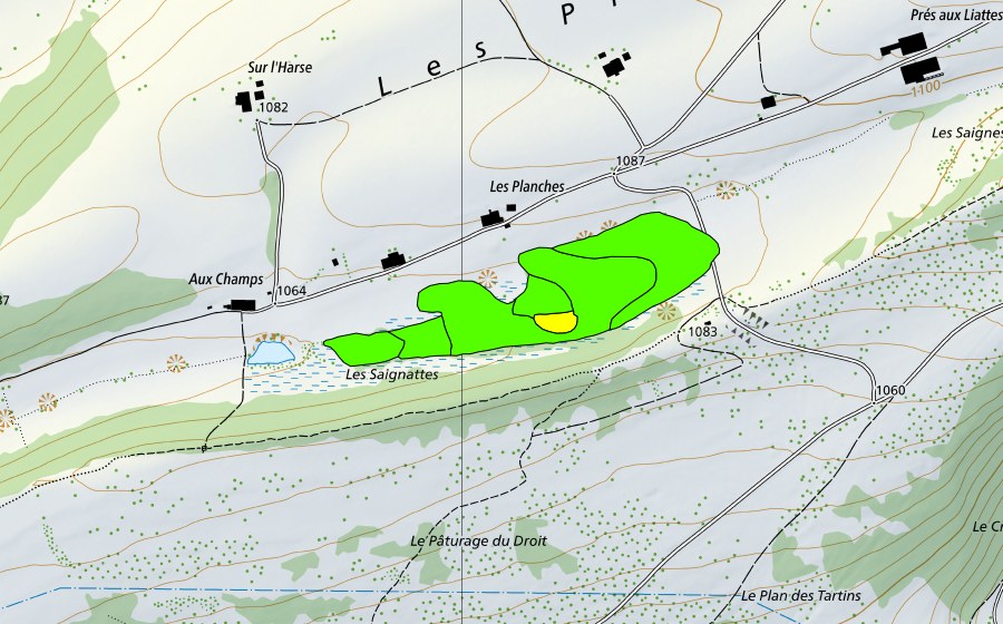 Landeskarte swisstopo mit dem Schutzperimeter von Pâturage du Droit (Hochmoor)