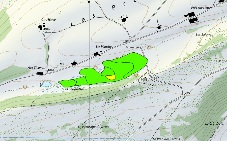 Landeskarte swisstopo mit dem Schutzperimeter von Pâturage du Droit (Hochmoor)