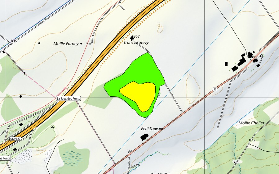 Landeskarte swisstopo mit dem Schutzperimeter von Petit Sauvage (Hochmoor)