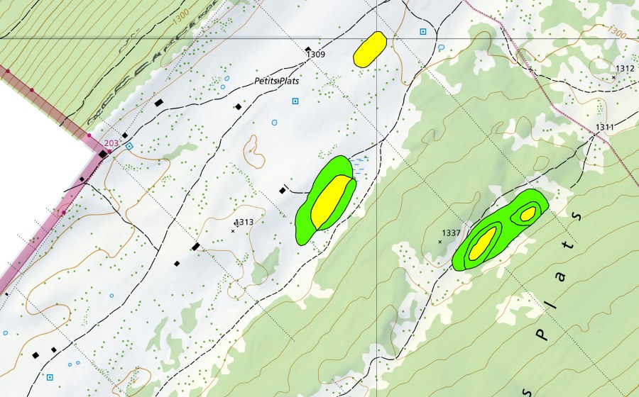 Landeskarte swisstopo mit dem Schutzperimeter von Petits Plats (Hochmoor)
