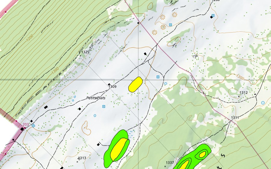 Landeskarte swisstopo mit dem Schutzperimeter von Petits Plats (Hochmoor)