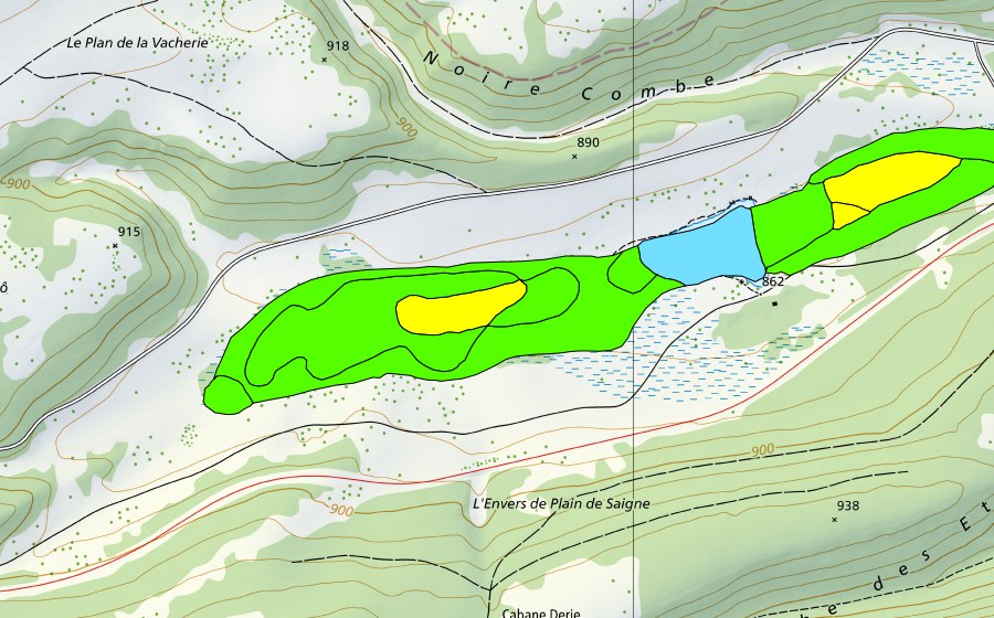 Landeskarte swisstopo mit dem Schutzperimeter von Plain de Saigne (Hochmoor)