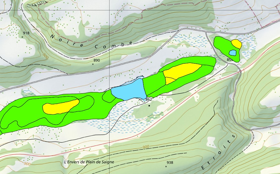 Carte nationale swisstopo avec le périmètre protégé de Plain de Saigne (Haut-marais)