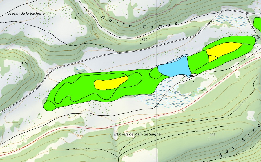 swisstopo national map showing the protected perimeter of Plain de Saigne (Raised bog)