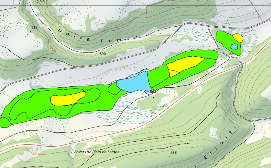 Landeskarte swisstopo mit dem Schutzperimeter von Plain de Saigne (Hochmoor)