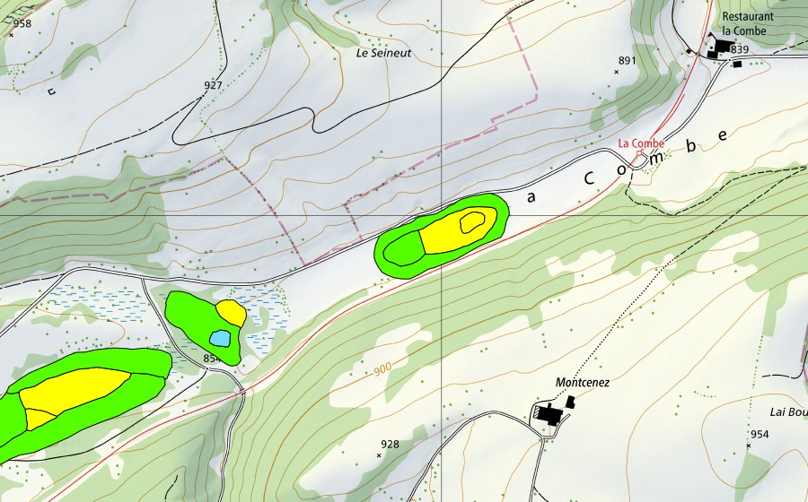 Landeskarte swisstopo mit dem Schutzperimeter von Plain de Saigne (Hochmoor)
