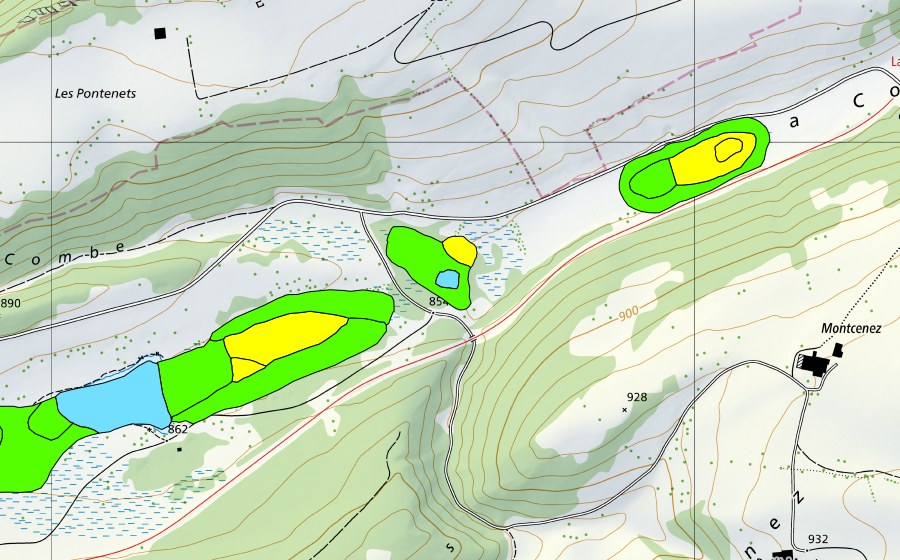 Landeskarte swisstopo mit dem Schutzperimeter von Plain de Saigne (Hochmoor)