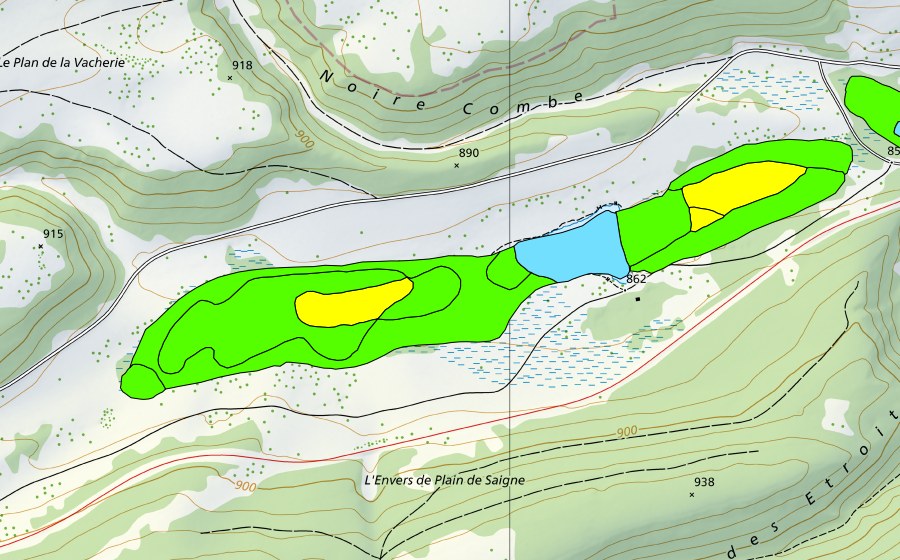 Carte nationale swisstopo avec le périmètre protégé de Plain de Saigne (Haut-marais)