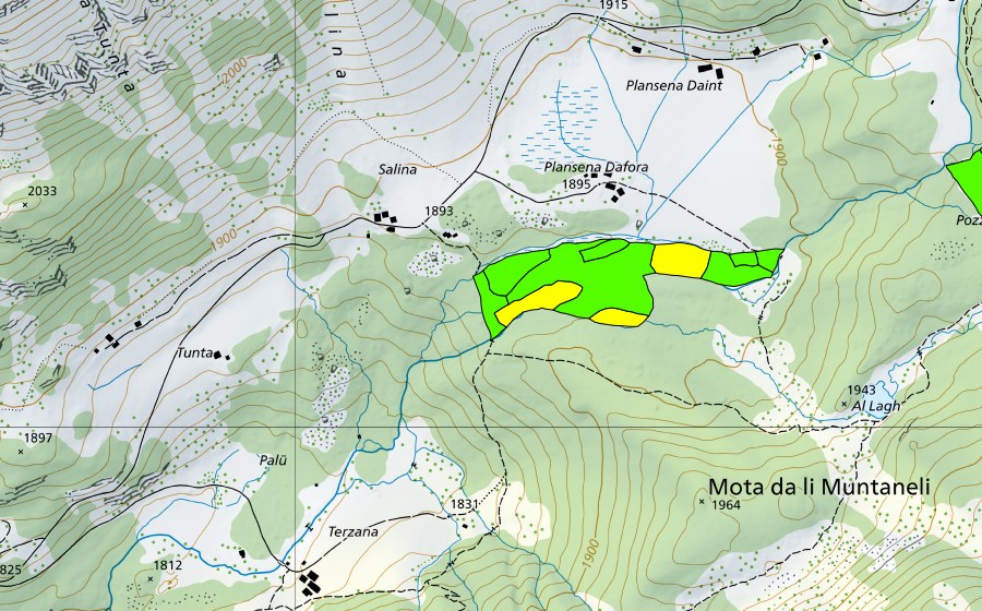 Carta nazionale swisstopo con il perimetro protetto di Plansena (Val da Camp) (Torbiera alta)