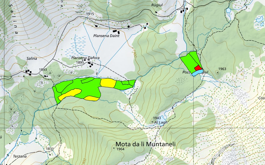 Carte nationale swisstopo avec le périmètre protégé de Plansena (Val da Camp) (Haut-marais)