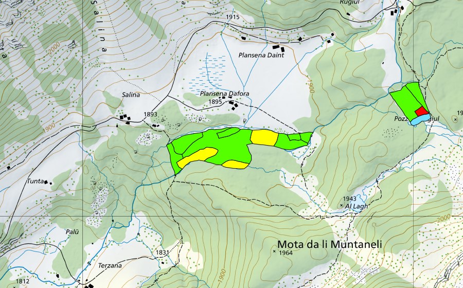 Landeskarte swisstopo mit dem Schutzperimeter von Plansena (Val da Camp) (Hochmoor)