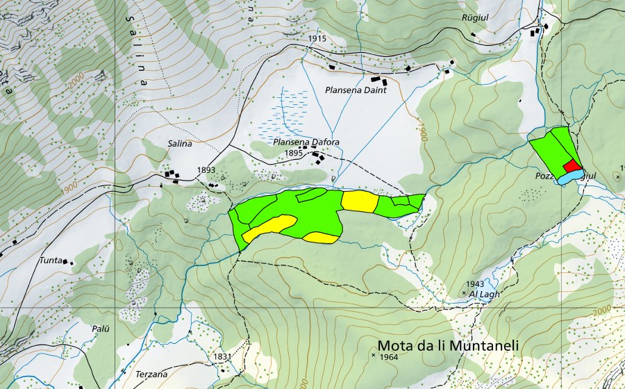 Carte nationale swisstopo avec le périmètre protégé de Plansena (Val da Camp) (Haut-marais)