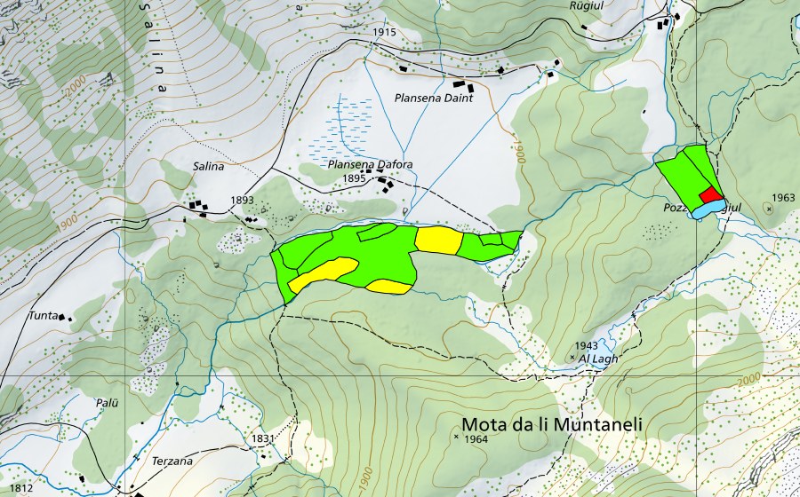 swisstopo national map showing the protected perimeter of Plansena (Val da Camp) (Raised bog)