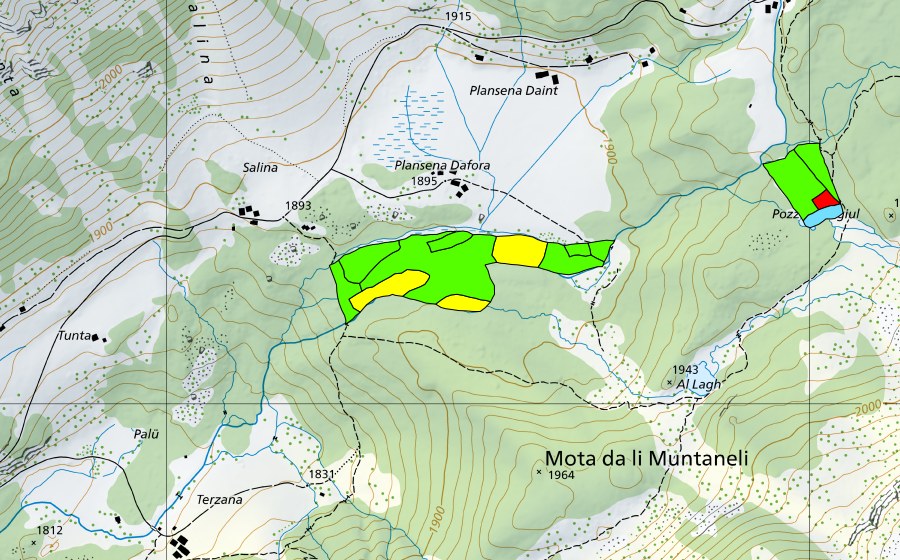 Carta nazionale swisstopo con il perimetro protetto di Plansena (Val da Camp) (Torbiera alta)