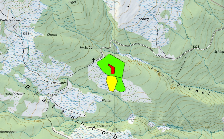 swisstopo national map showing the protected perimeter of Platten (Raised bog)