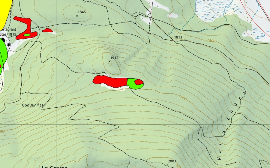 Landeskarte swisstopo mit dem Schutzperimeter von Plaun da las Mujas (Hochmoor)