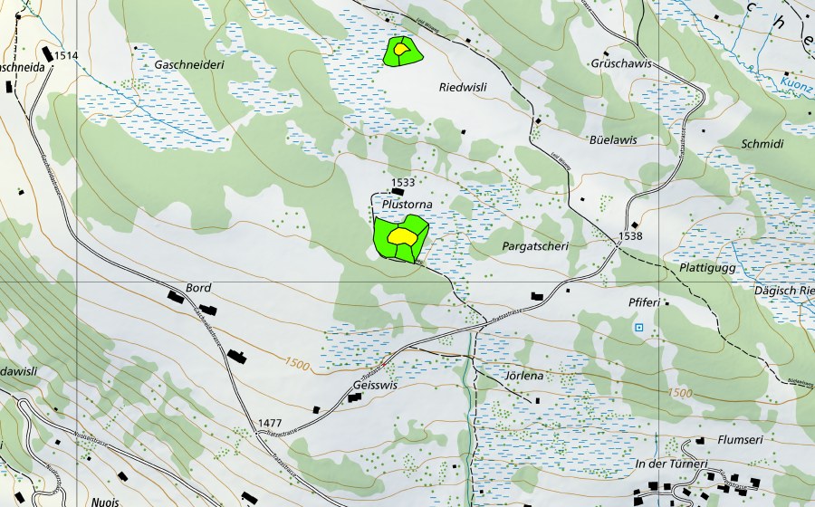 Landeskarte swisstopo mit dem Schutzperimeter von Plustorna (Hochmoor)