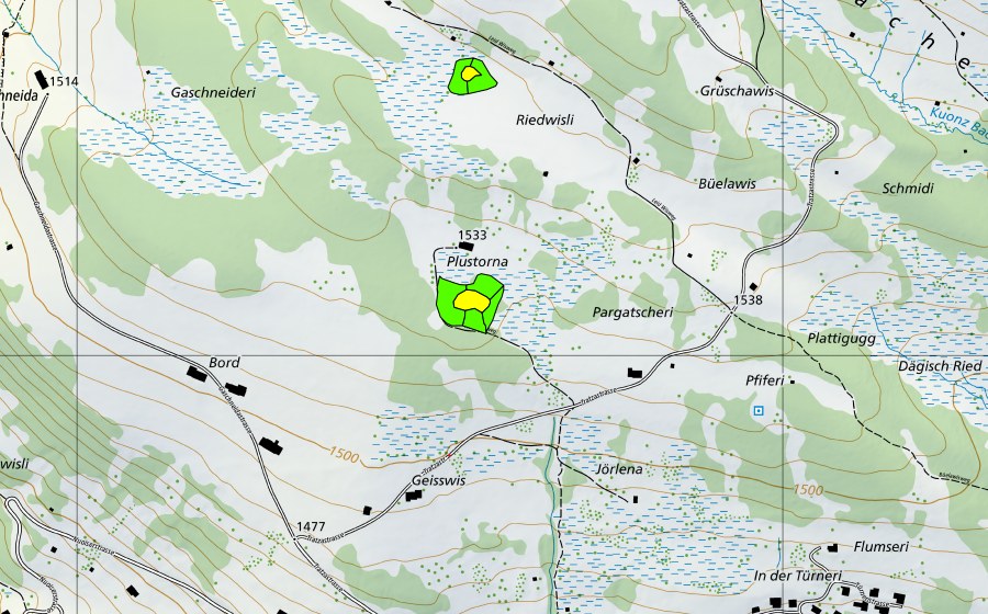 swisstopo national map showing the protected perimeter of Plustorna (Raised bog)