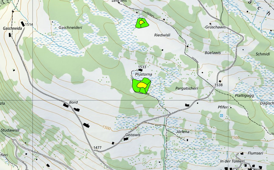 swisstopo national map showing the protected perimeter of Plustorna (Raised bog)