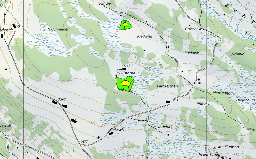 swisstopo national map showing the protected perimeter of Plustorna (Raised bog)
