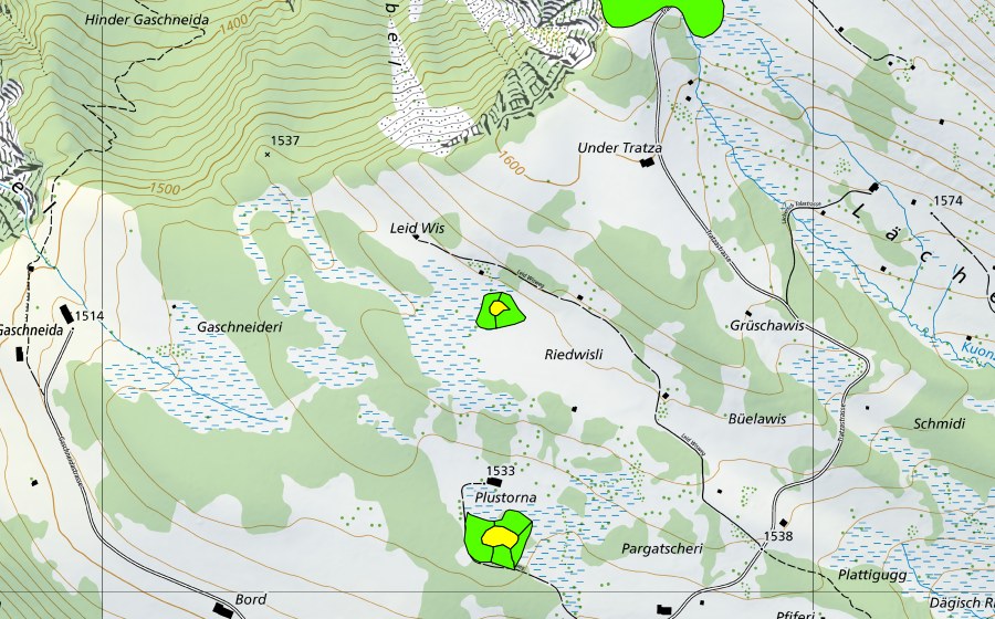 Landeskarte swisstopo mit dem Schutzperimeter von Plustorna (Hochmoor)