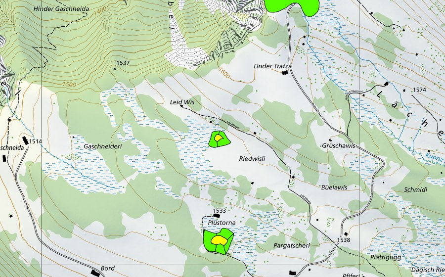 Landeskarte swisstopo mit dem Schutzperimeter von Plustorna (Hochmoor)