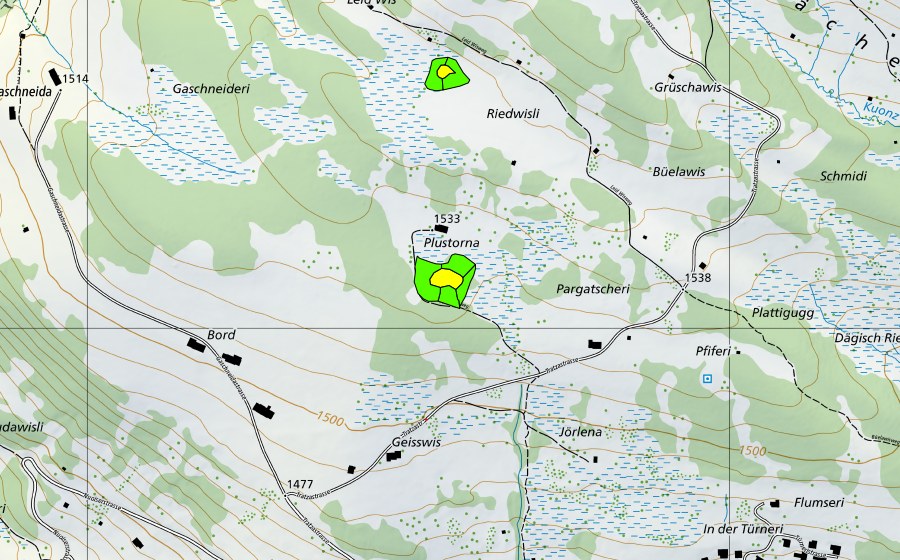 Carte nationale swisstopo avec le périmètre protégé de Plustorna (Haut-marais)