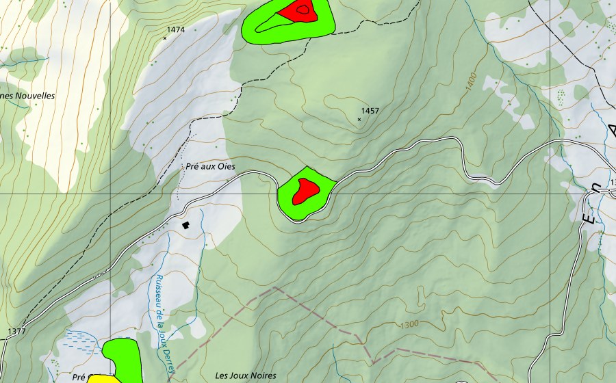 swisstopo national map showing the protected perimeter of Pré aux Oies (Raised bog)