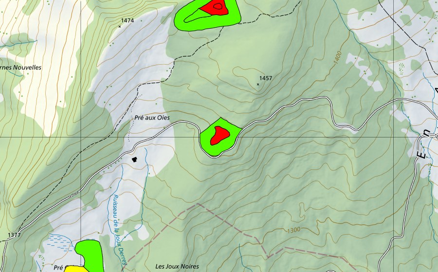 Carte nationale swisstopo avec le périmètre protégé de Pré aux Oies (Haut-marais)