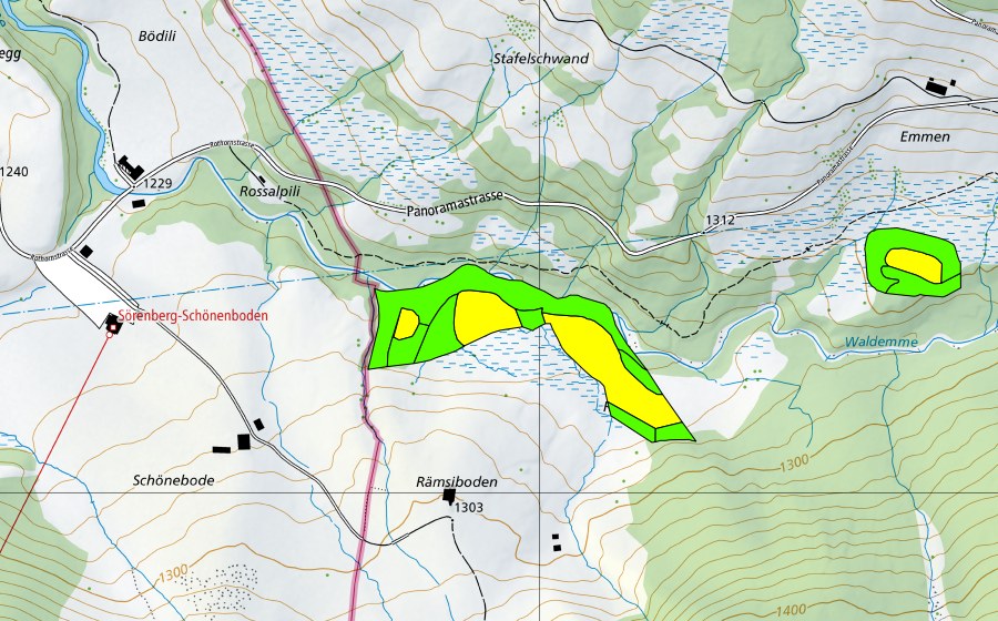 Landeskarte swisstopo mit dem Schutzperimeter von Ried unter dem Rämsiboden (Hochmoor)