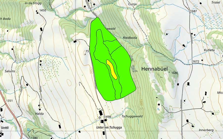 swisstopo national map showing the protected perimeter of Riedboden (Raised bog)