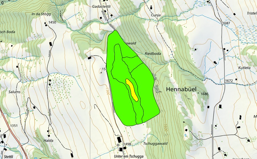 Landeskarte swisstopo mit dem Schutzperimeter von Riedboden (Hochmoor)