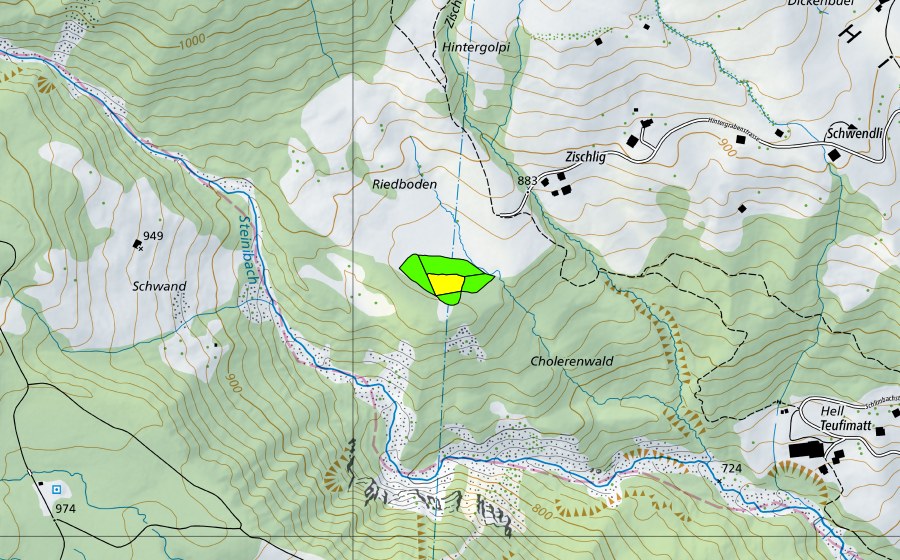 Landeskarte swisstopo mit dem Schutzperimeter von Riedboden bei Zischlig (Hochmoor)