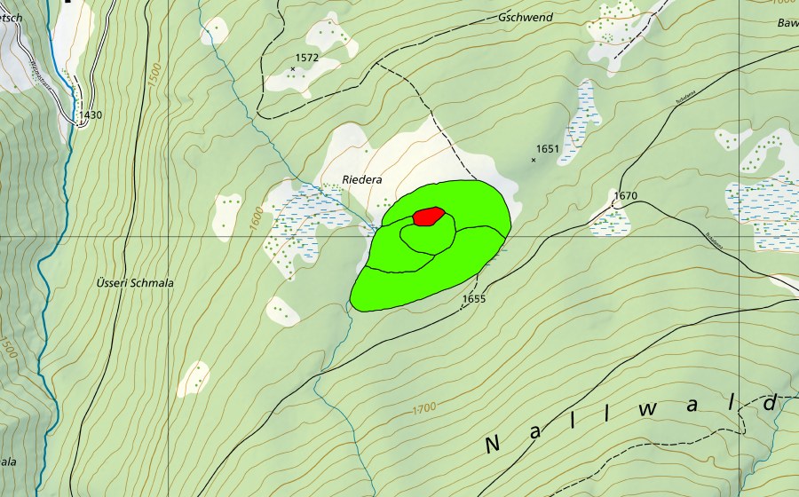 Landeskarte swisstopo mit dem Schutzperimeter von Riederen (Hochmoor)