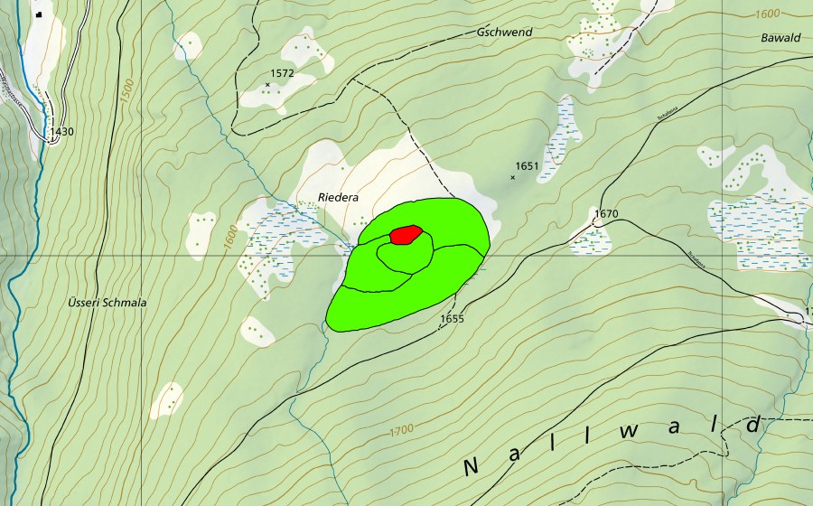 Landeskarte swisstopo mit dem Schutzperimeter von Riederen (Hochmoor)