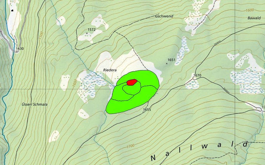 Landeskarte swisstopo mit dem Schutzperimeter von Riederen (Hochmoor)