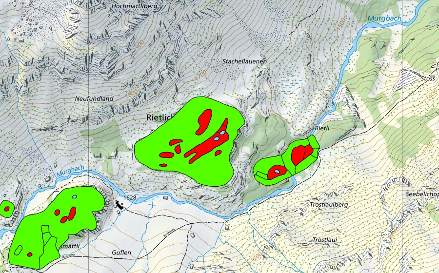 Landeskarte swisstopo mit dem Schutzperimeter von Rietlichopf im Murgtal (Hochmoor)