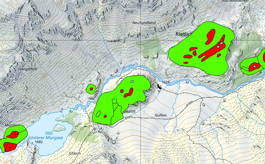 Landeskarte swisstopo mit dem Schutzperimeter von Rietlichopf im Murgtal (Hochmoor)