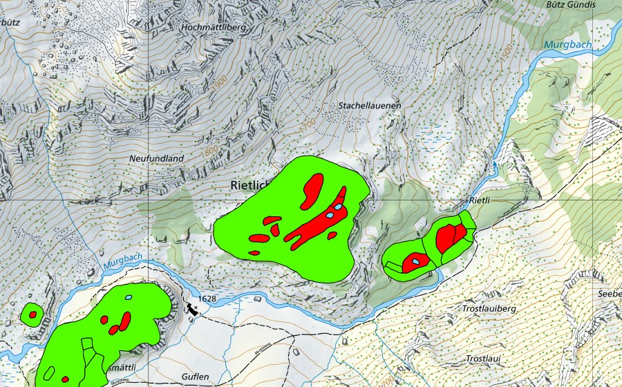 Landeskarte swisstopo mit dem Schutzperimeter von Rietlichopf im Murgtal (Hochmoor)