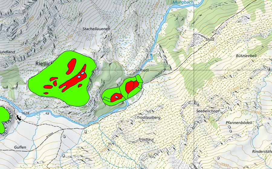 Carte nationale swisstopo avec le périmètre protégé de Rietlichopf im Murgtal (Haut-marais)